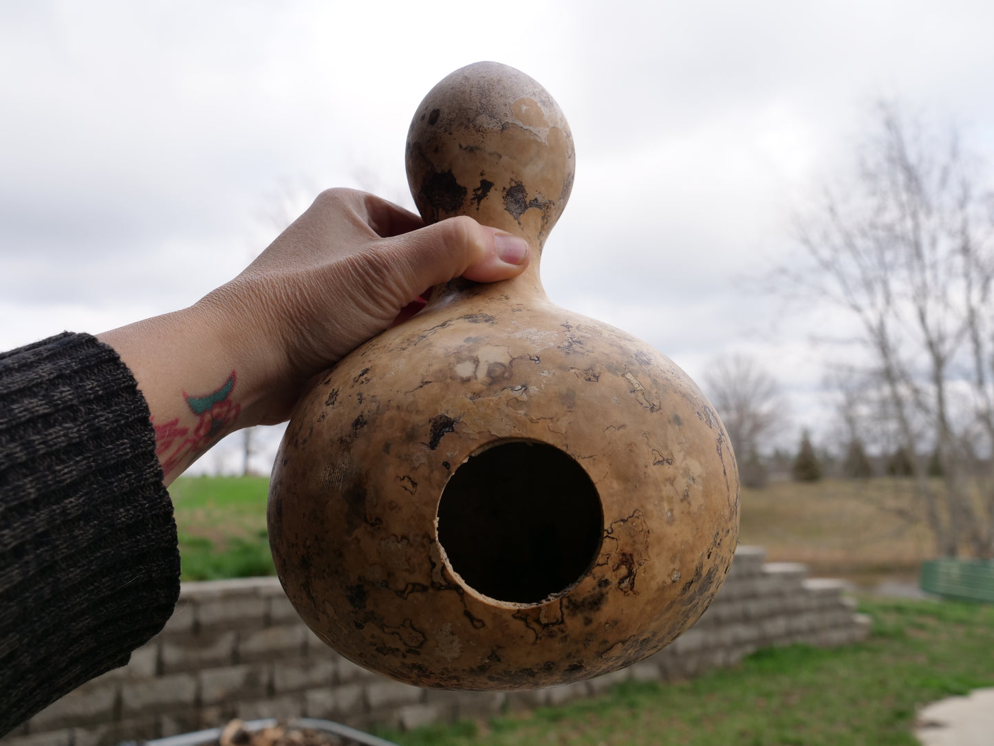 Birdhouse Gourd Seeds