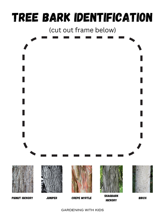 Tree Bark Identification